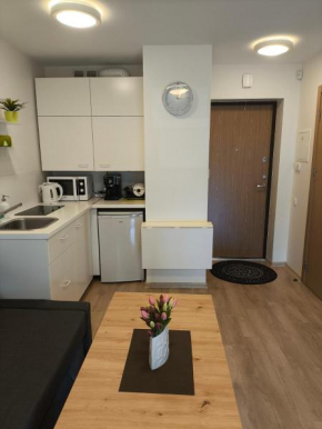 2 kambarių apartamentai, Palanga